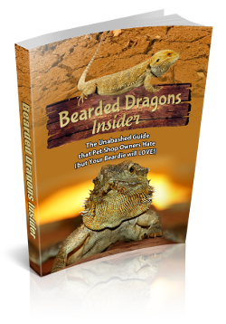 Bearded Dragons Care eBook