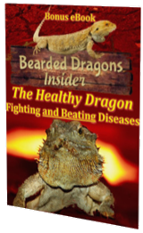 beardeddragonhealth